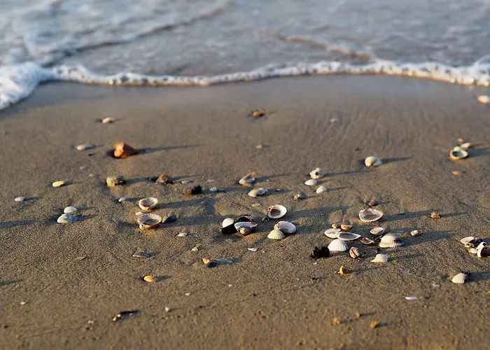 Village Escape With Garden And Fireplace Daire